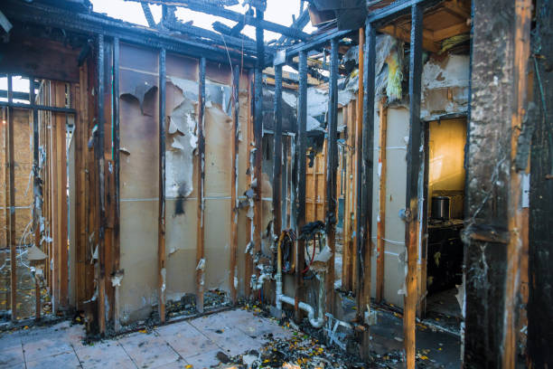Professional Fire Damage Removal technician working in Lyons, CO